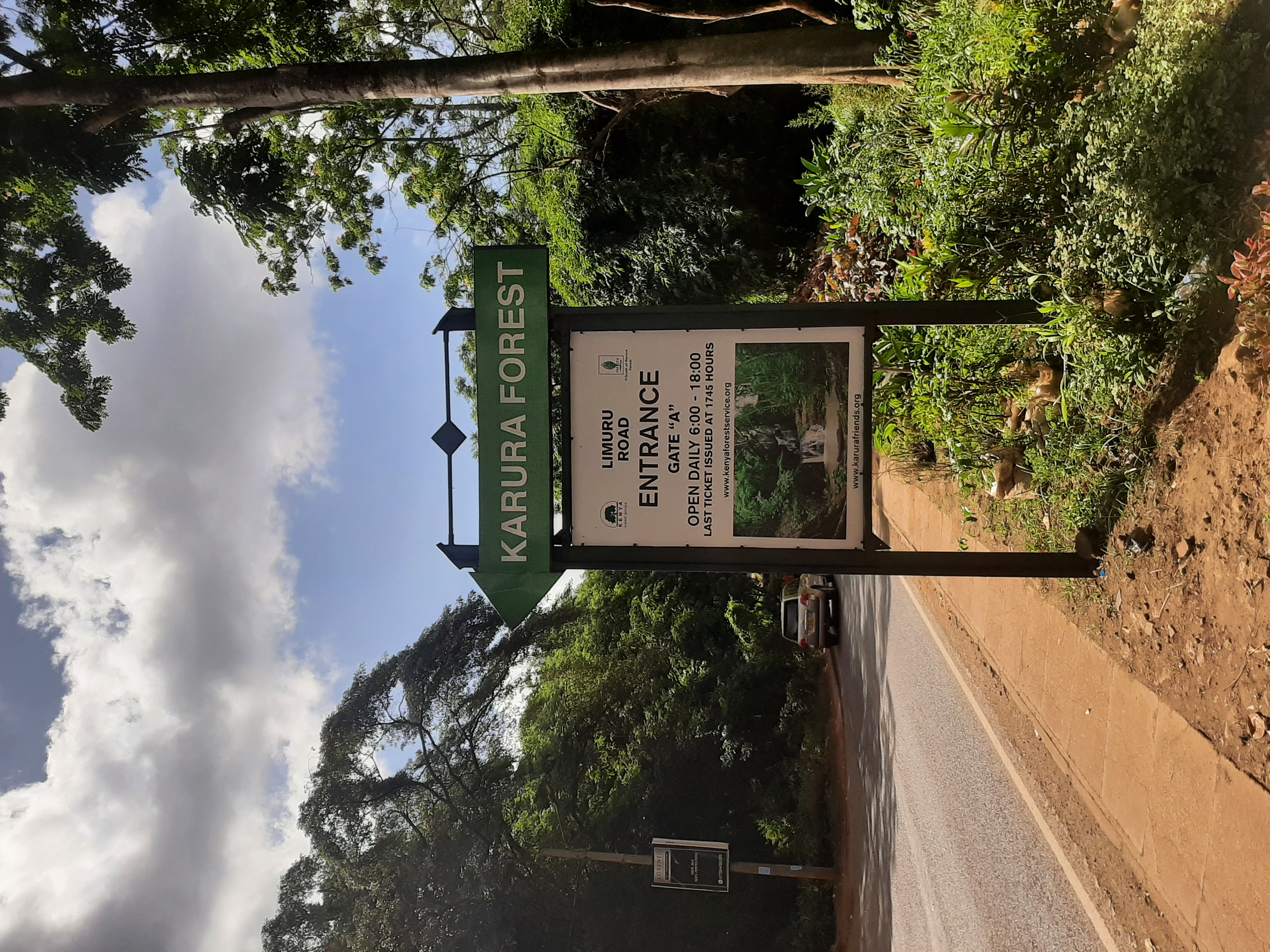 Karura Forest